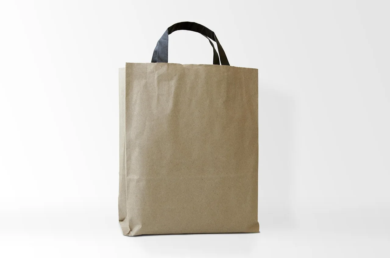 bag, kraft bag, paper, blank, kraft, container, brown, design, space, paperbag, label, template, empty, copy, package, mockup, packaging, mock-up, sachet, packing, bag, bag, bag, bag, bag